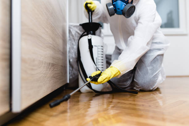 Best Pest Control Treatment  in Lake Ripley, WI