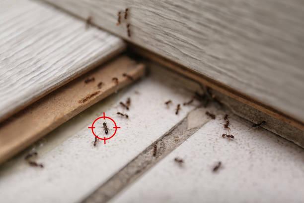 Lake Ripley, WI Pest Control Company