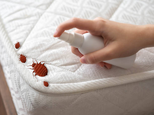 Flea Control Services in Lake Ripley, WI