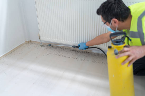 Best Best Pest Control Companies  in Lake Ripley, WI